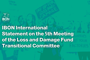 Statement on the 5th Meeting of the Loss and Damage Fund Transitional Committee