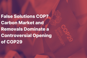 False Solutions COP? Carbon Market and Removals Dominate a Controversial Opening of COP29