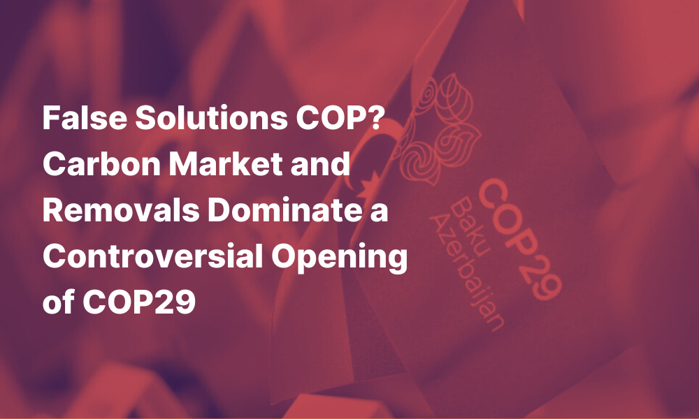 You are currently viewing False Solutions COP? Carbon Market and Removals Dominate a Controversial Opening of COP29